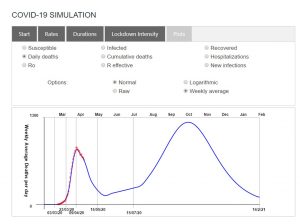 Covid-19 Simulation at startup